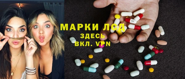 прущие грибы Алексеевка