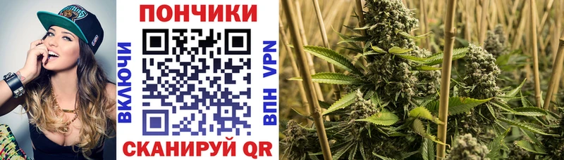 Канабис OG Kush  блэк спрут ССЫЛКА  Тосно 